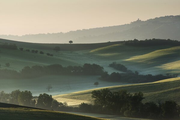 Nature. Hills, trees, meadows