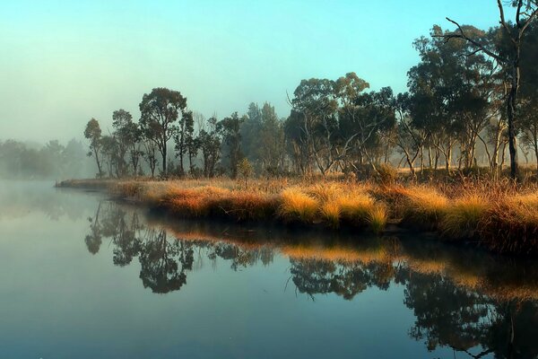 Paisaje africano con árboles y río