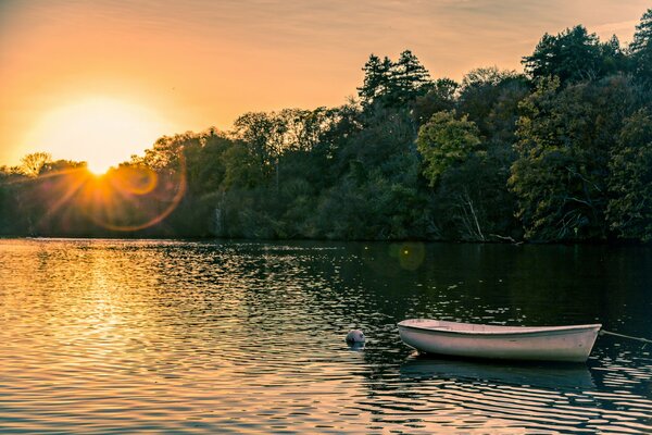 A lonely boat in the middle of a pond