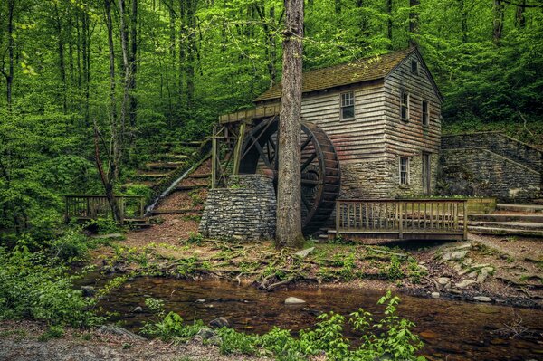 Old Mill en Norris Dam State Park