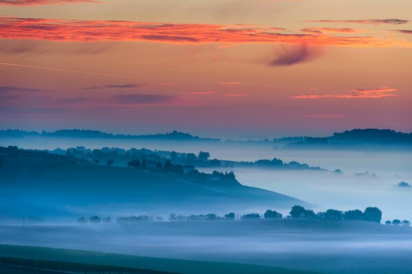 Mattina cielo nebbia alberi