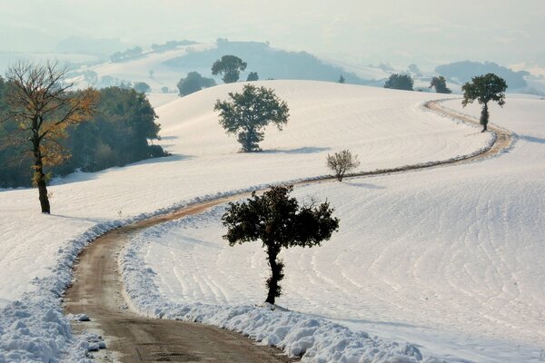 Camino cubierto de nieve de invierno y a lo largo de los árboles