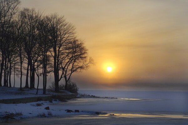 Winter dawn on the lake