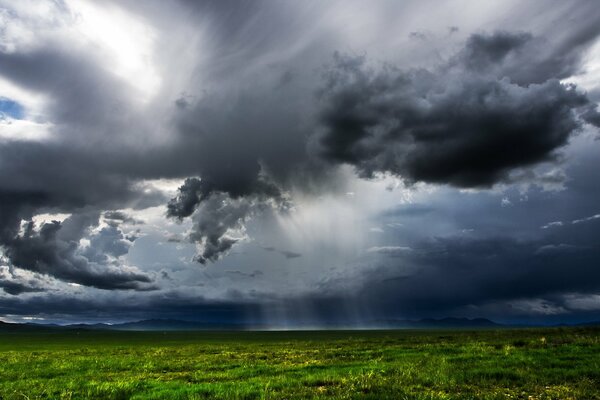 Nature. The clouds. Field. Rain