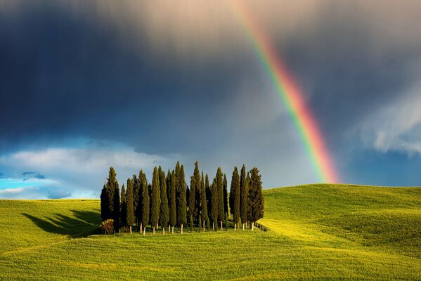 Blick auf den Zypressenhügel in Italien mit Regenbogen