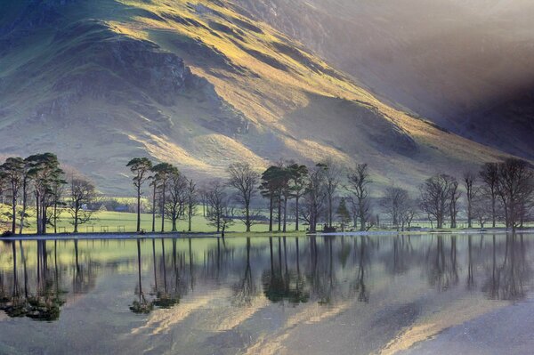 Lonely trees on the lake shore in the mountains