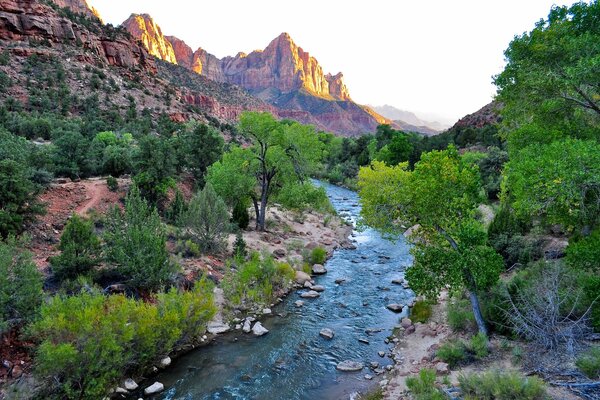 River and bushes on the background of mountains