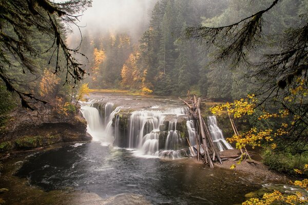 Waterfall in a wonderful forest place