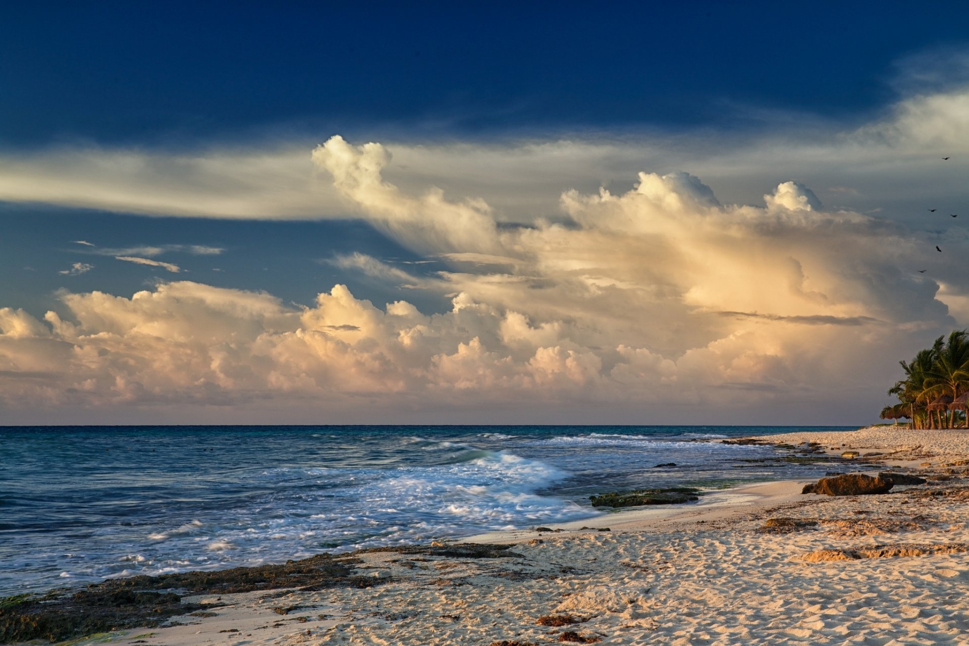 mar playa arena palmeras viento olas nubes