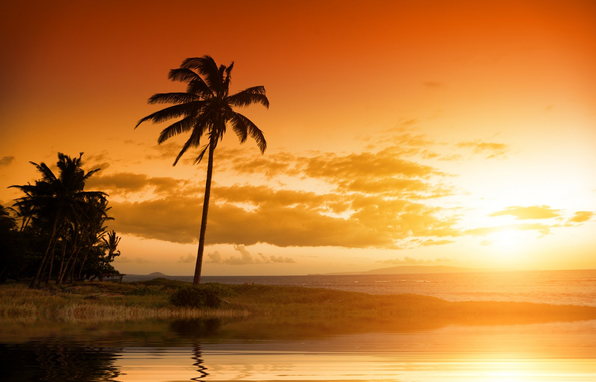 paesaggio tramonto natura paesaggio cielo nuvole tropicale palma oceano hawaii bellissimo paesaggio tramonto palme tropicali