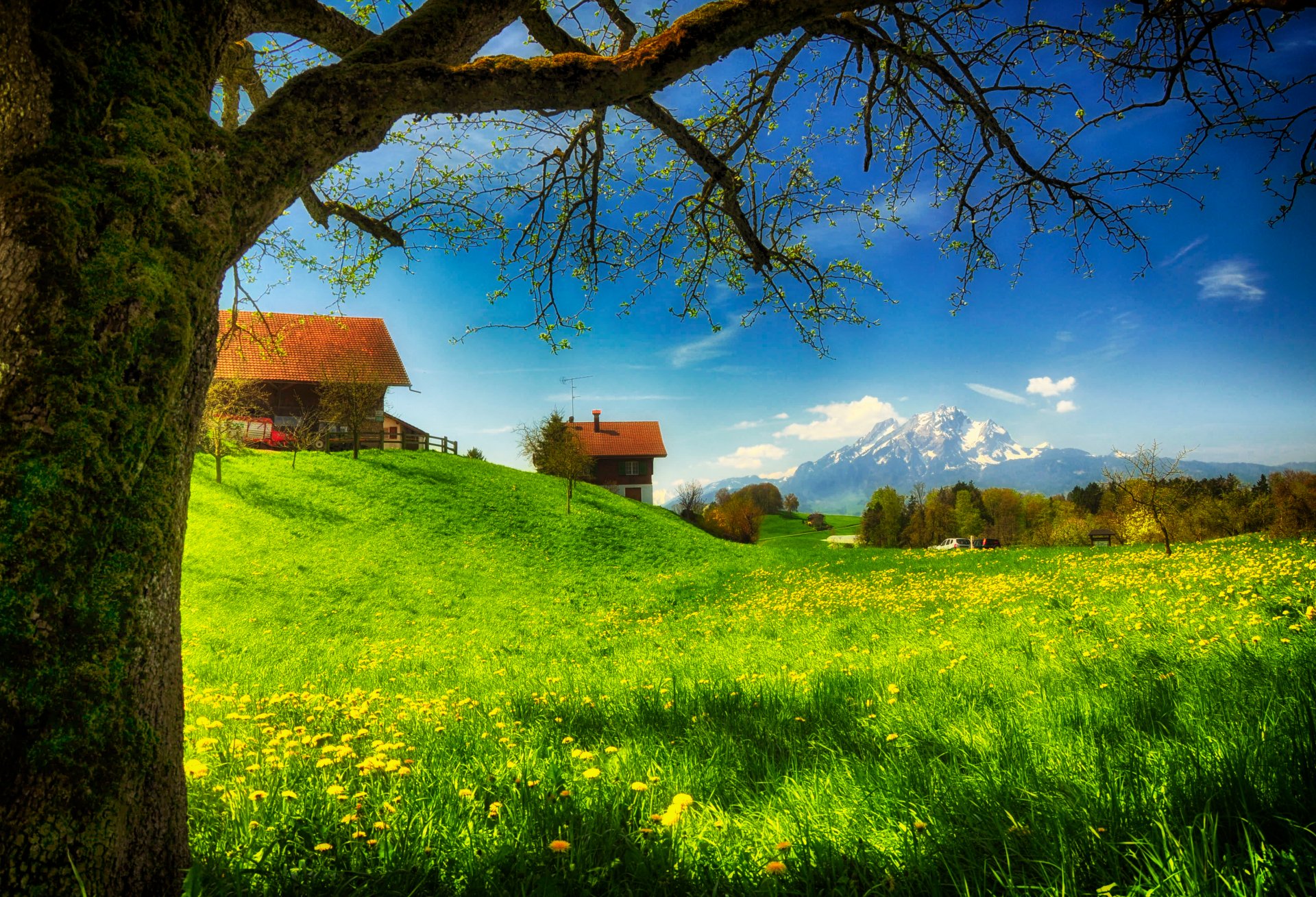 pring green house houses grass mountain moss flower field solar