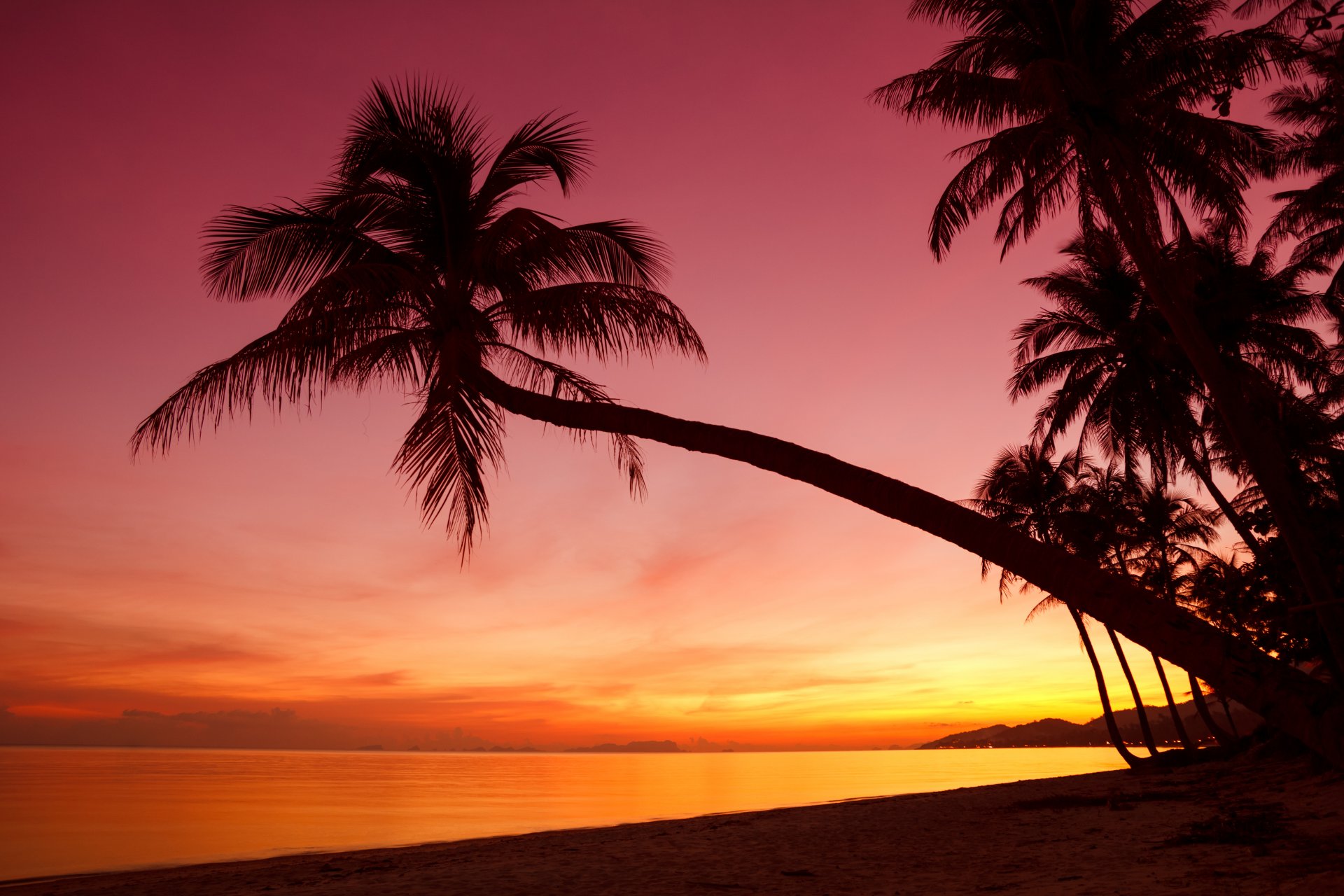 tropisch sonnenuntergang weinen palmen silhouette küste ozean meer strand schöne szene natur landschaft himmel weinen schöne szene