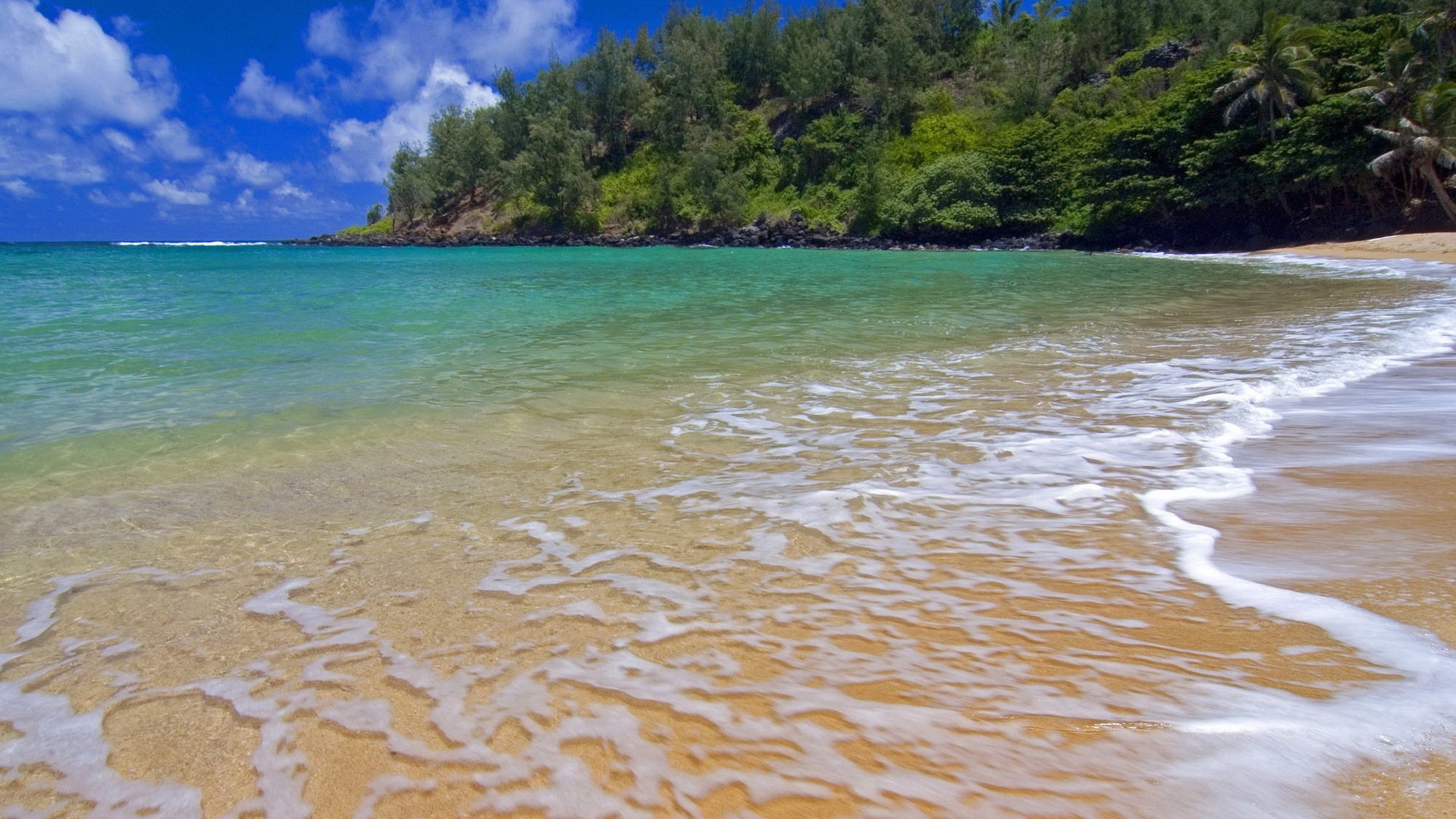 ocean sea blue sky clouds tree beach sand transparency