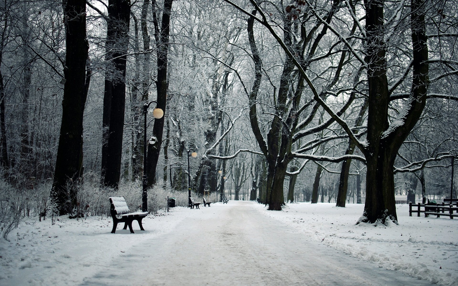 parco inverno paesaggio