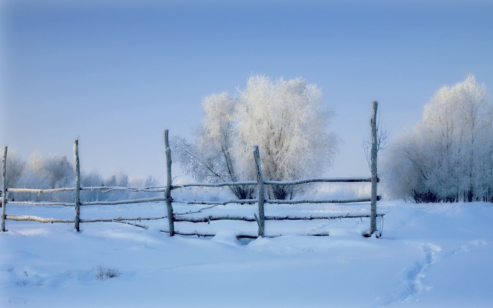 winter fence snow the field morning