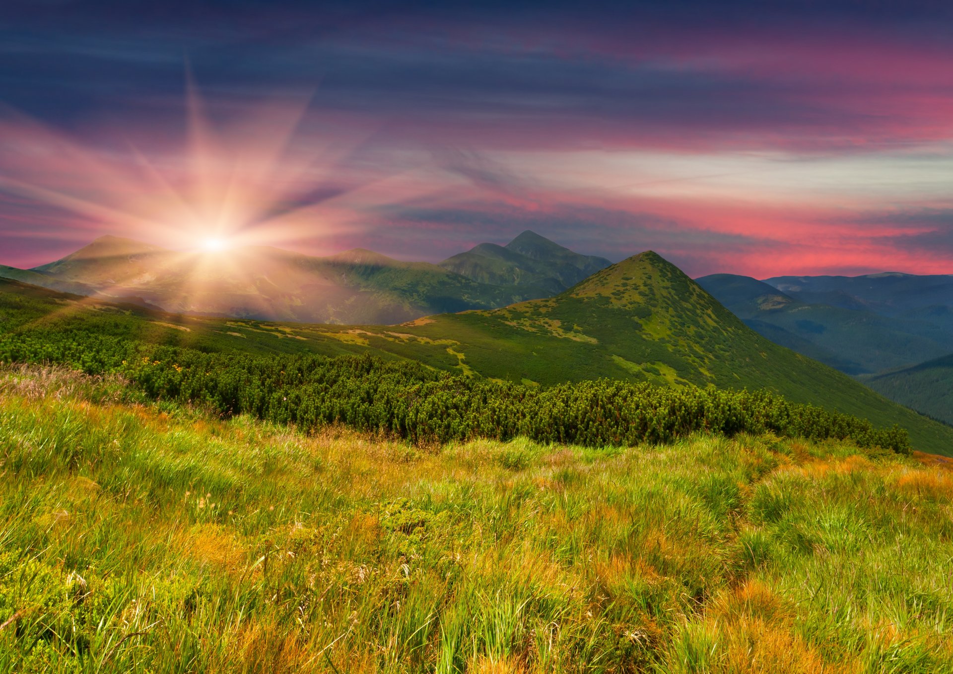 champ montagnes pente herbe arbres verdure soir coucher de soleil soleil nature