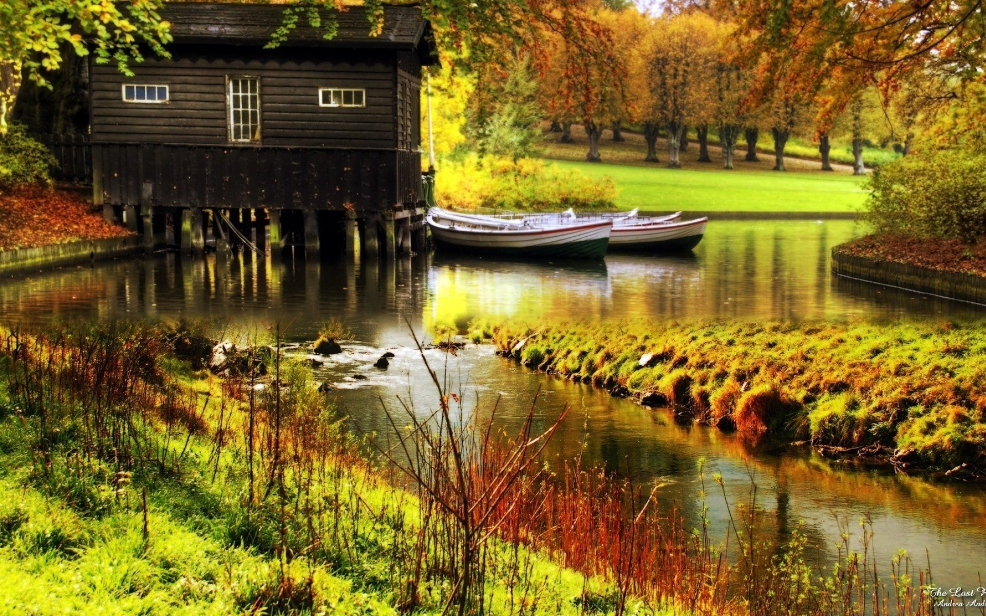 bosque otoño río casa árboles naturaleza foto