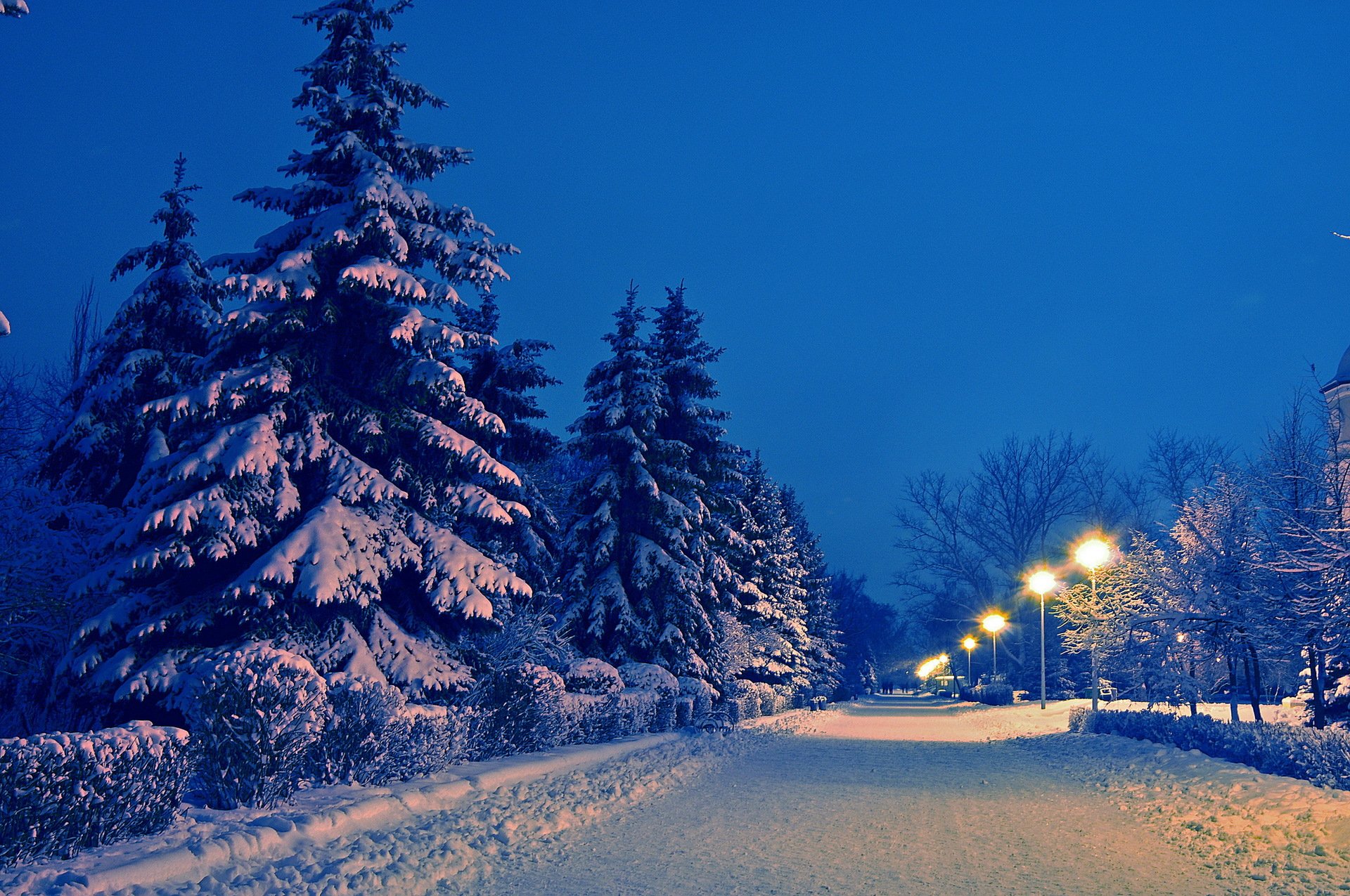 paesaggio inverno neve abete rosso vicolo parco sera lanterne strada