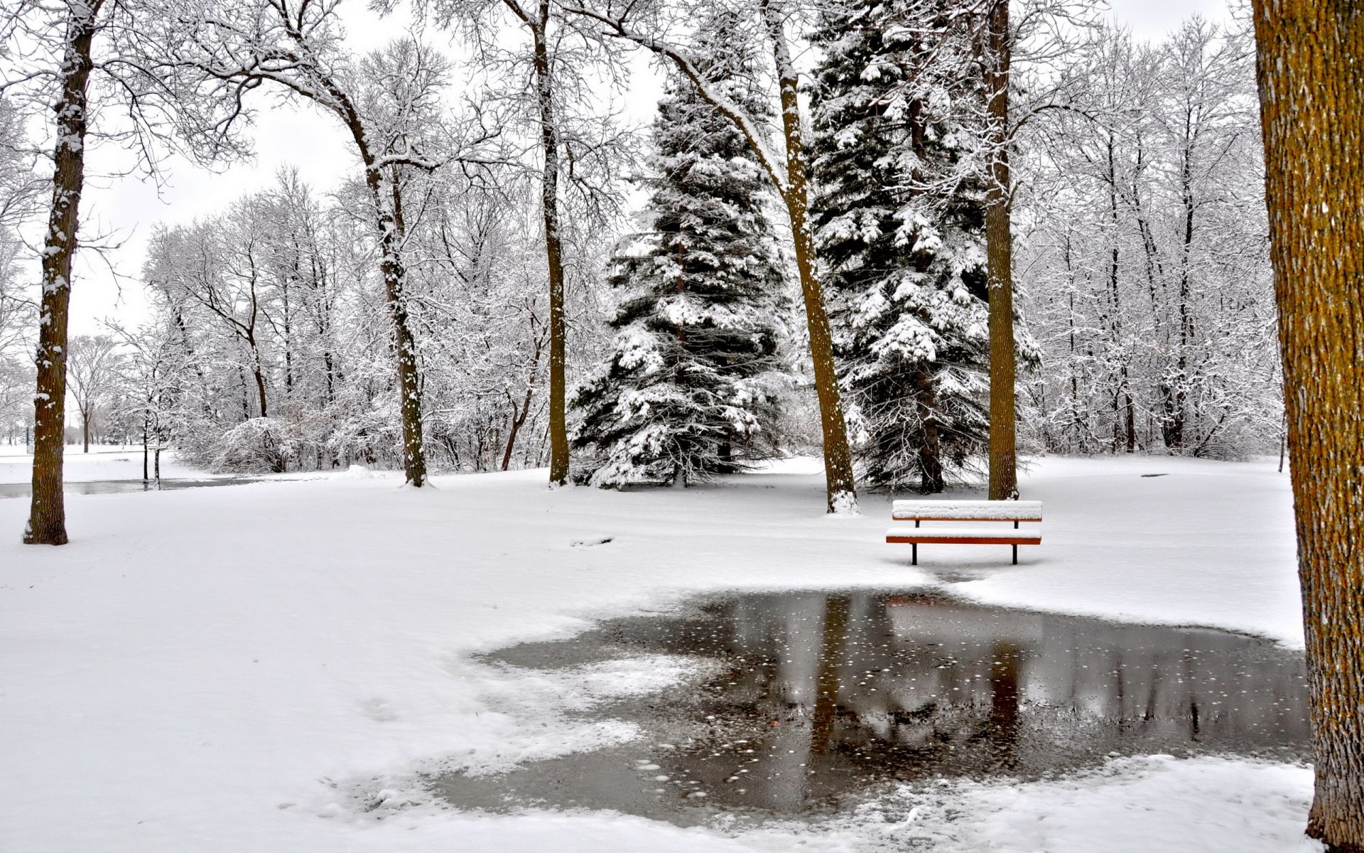 parc hiver paysage