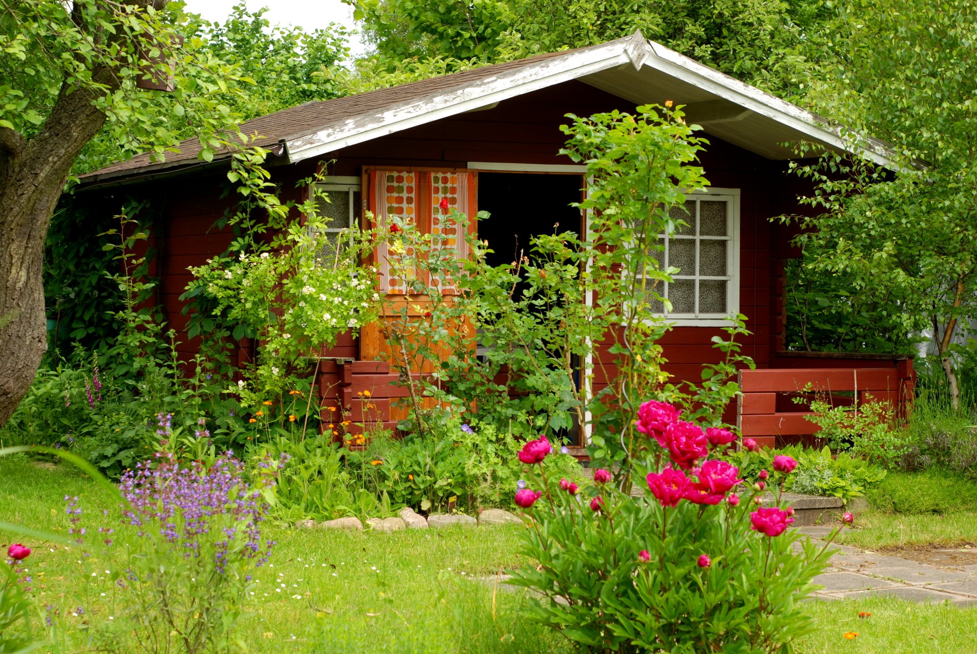 été chalet jardin arbres fleurs