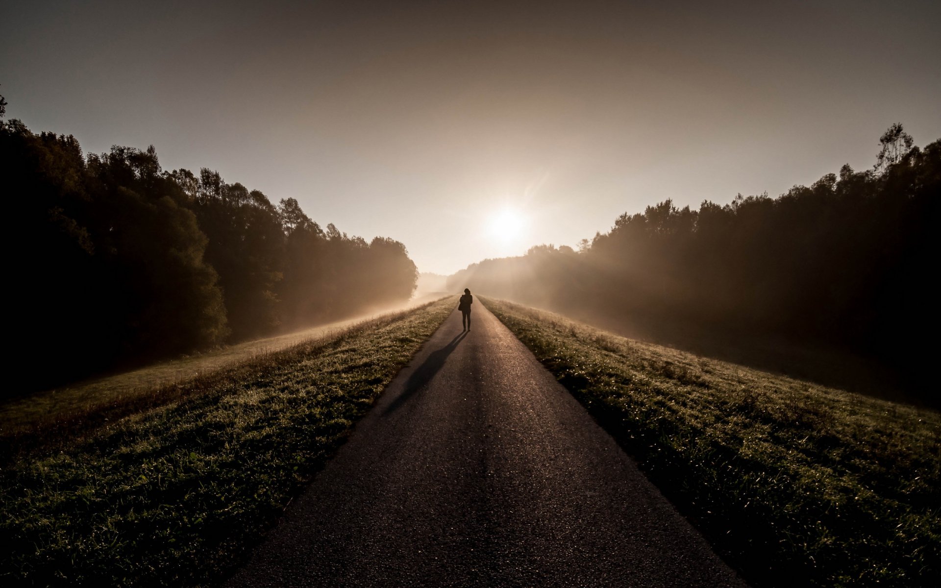 mañana camino hombre niebla