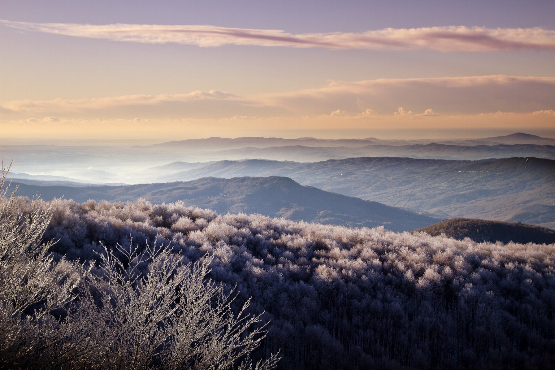 colline valli foresta brina mattina