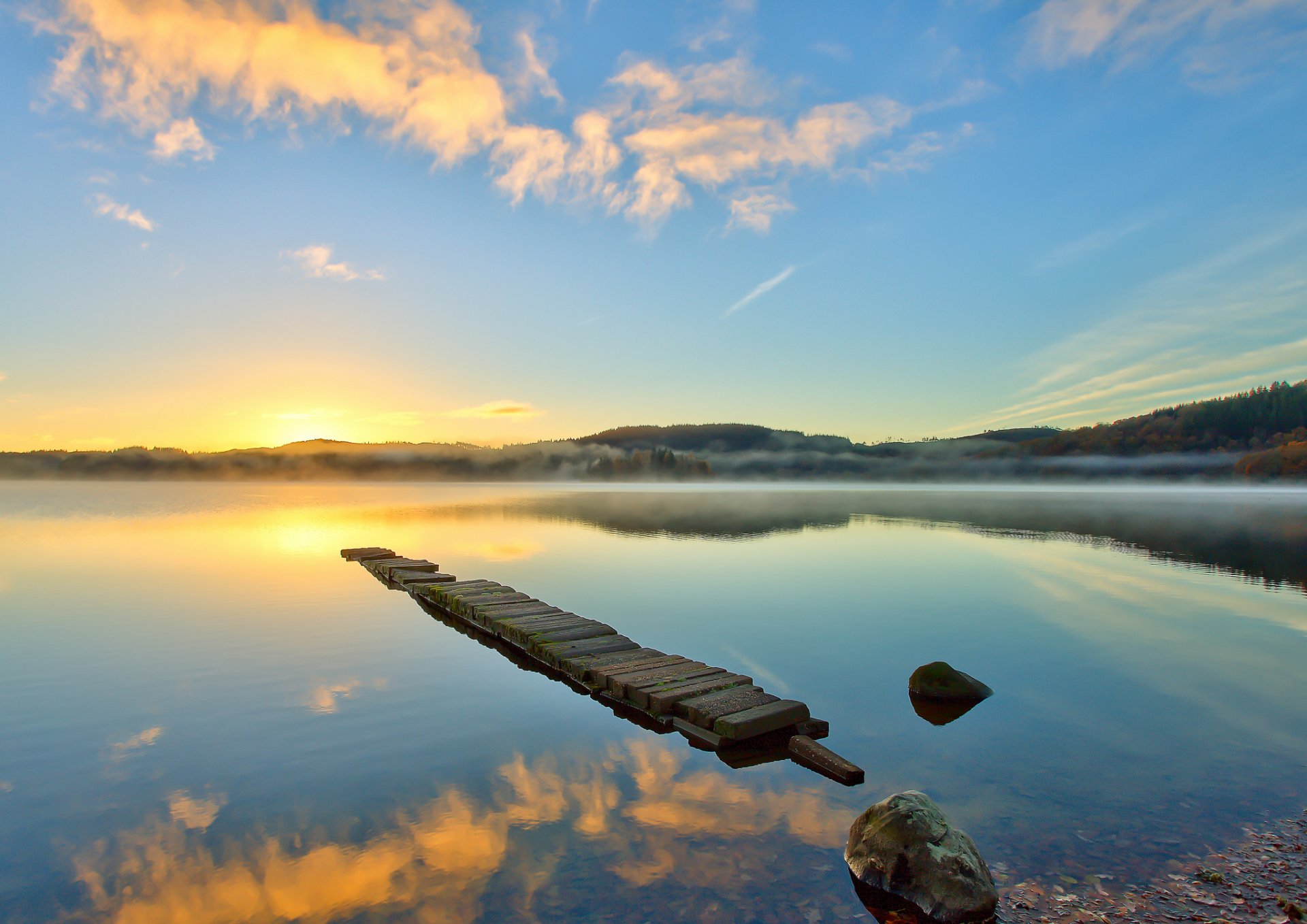 forest lake fog morning rasvet