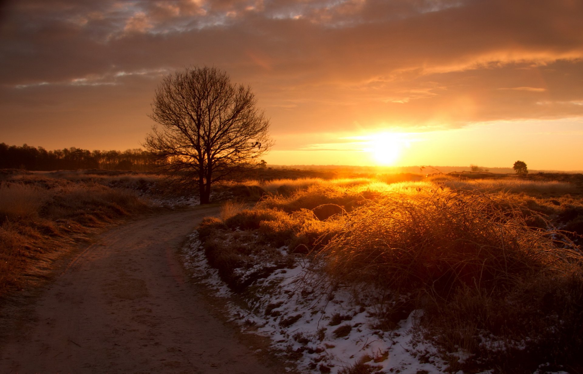 herbe neige route arbre soleil coucher de soleil