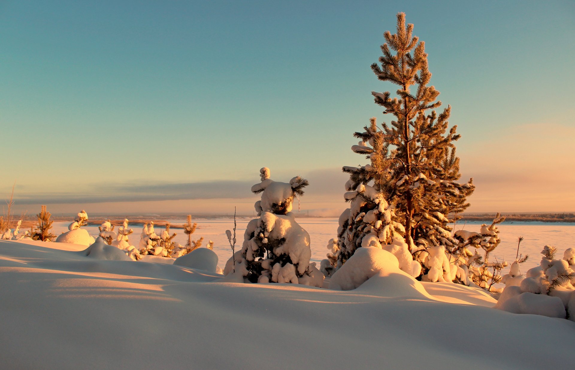 winter bäume fichte sonnenuntergang landschaft sonne schnee schneeverwehungen