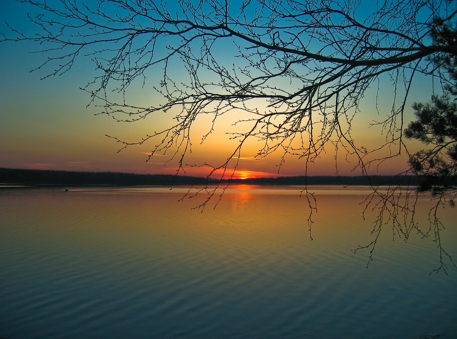 coucher de soleil soir soleil silence branches rivière calme harmonie côte