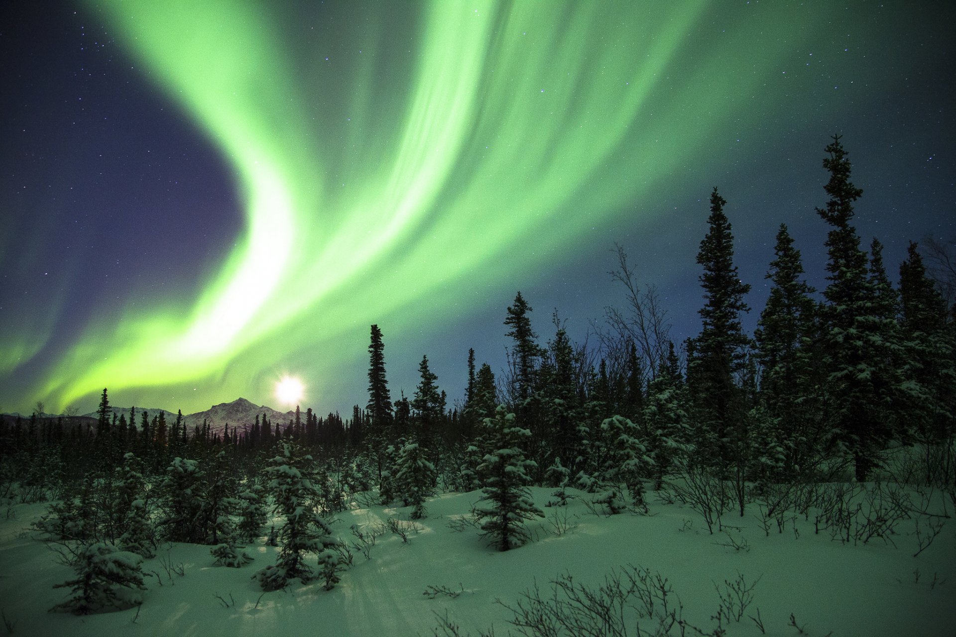 montagnes forêt neige nuit aurores boréales