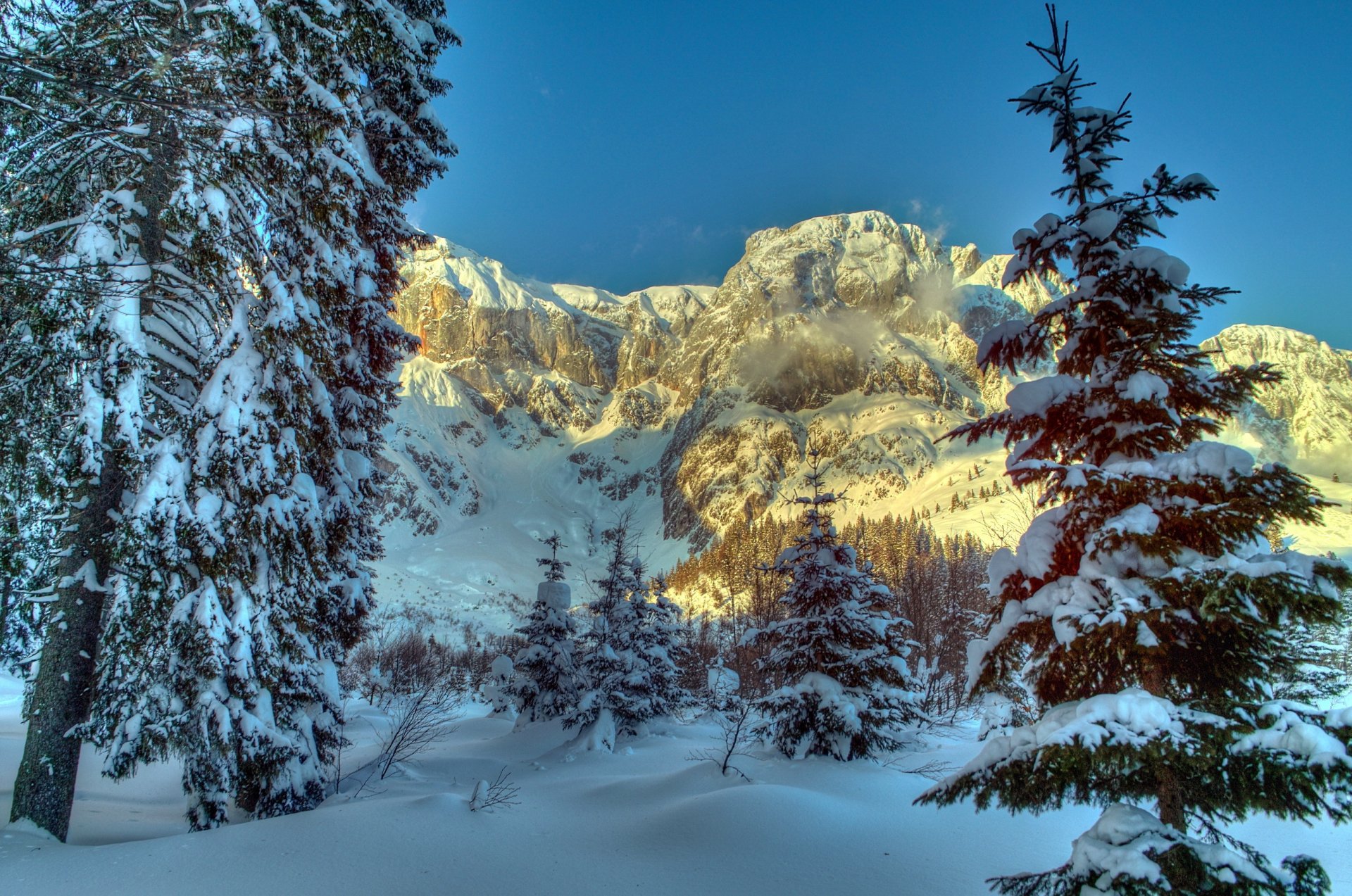 inverno montagne austria neve alberi abete rosso alpi natura