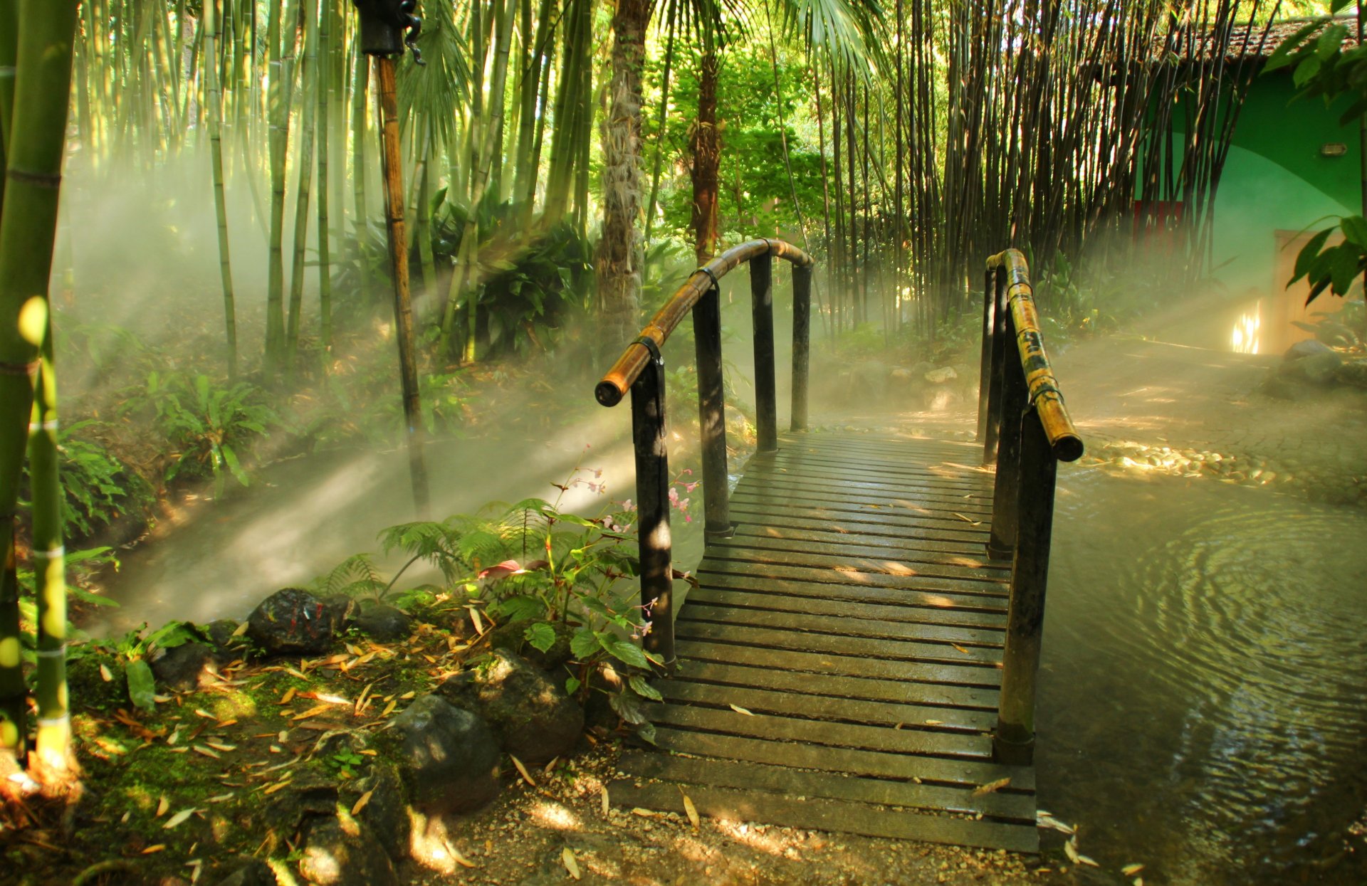 parque italia puente bambú lombardía gardone riviera niebla naturaleza foto