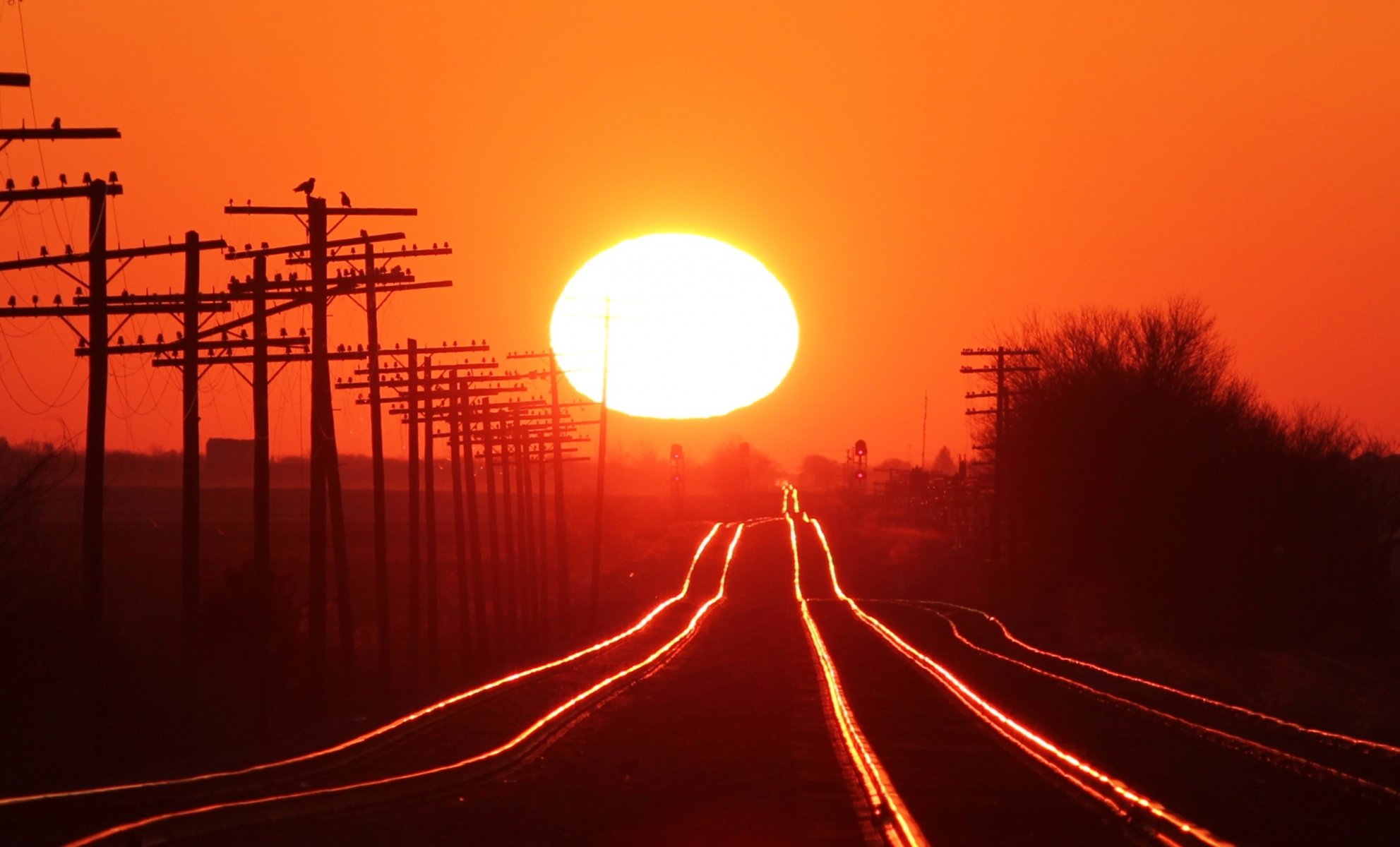 schienen eisenbahn himmel sonne sonnenuntergang säulen bäume