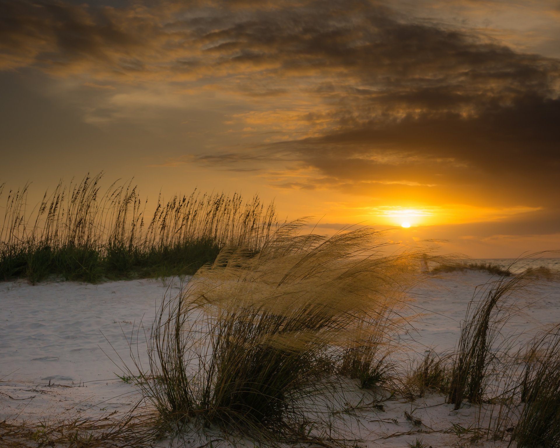 florida spiaggia vento piante dune sole tramonto inverno