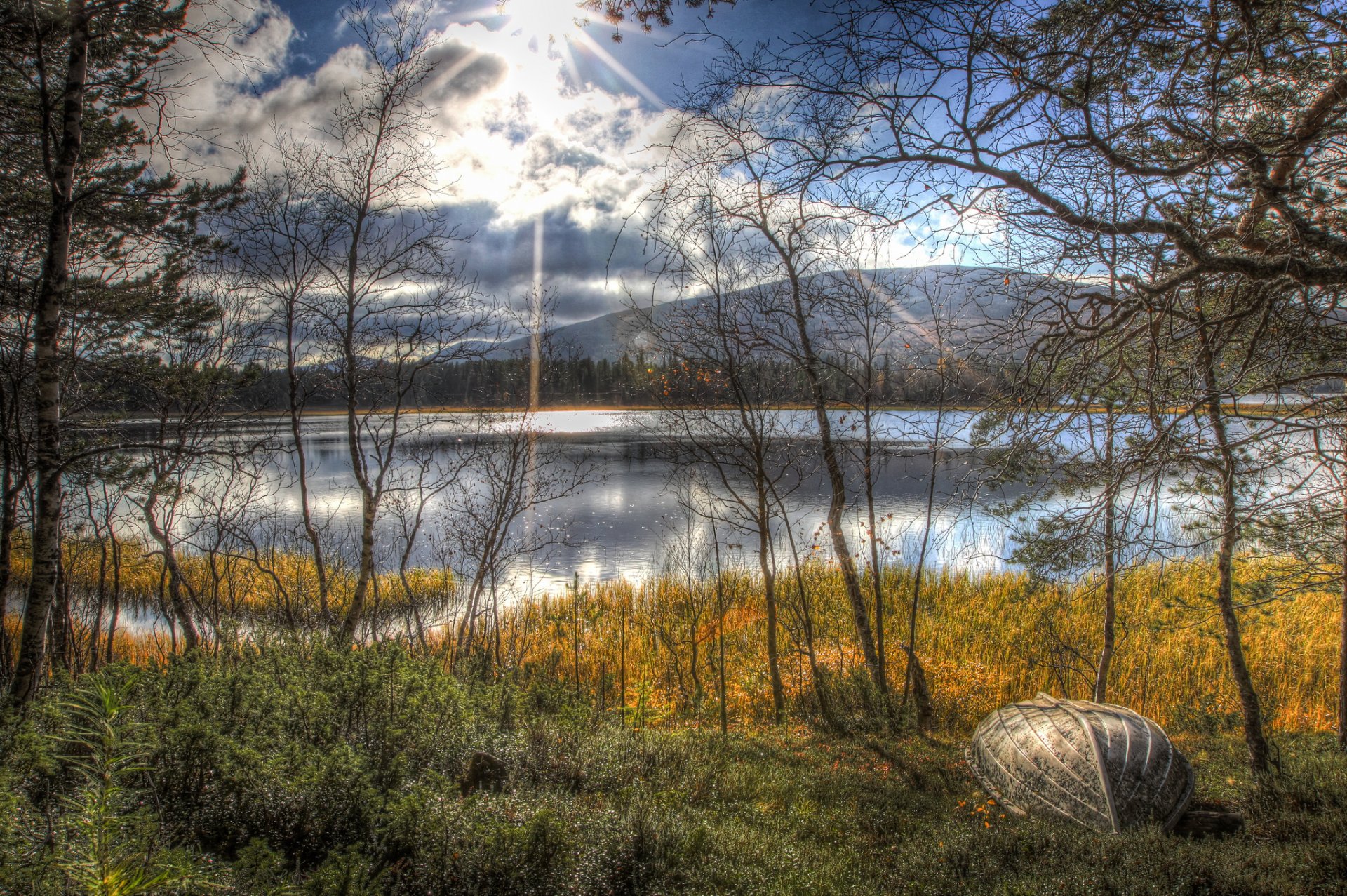 automne lac arbres bateau soleil paysage