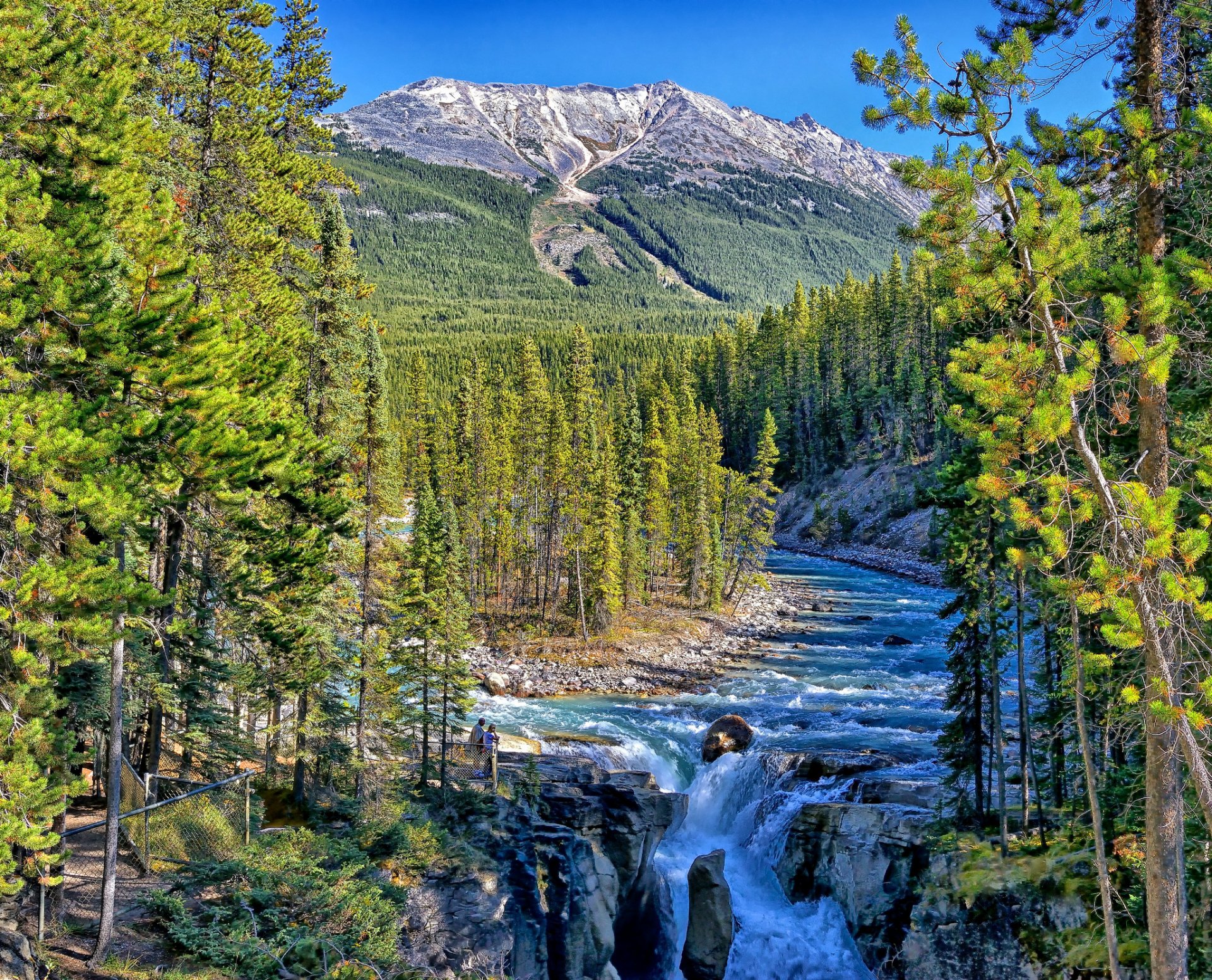 unwapta falls park narodowy jasper alberta kanada sunwapta river jasper rzeka góry las wodospad