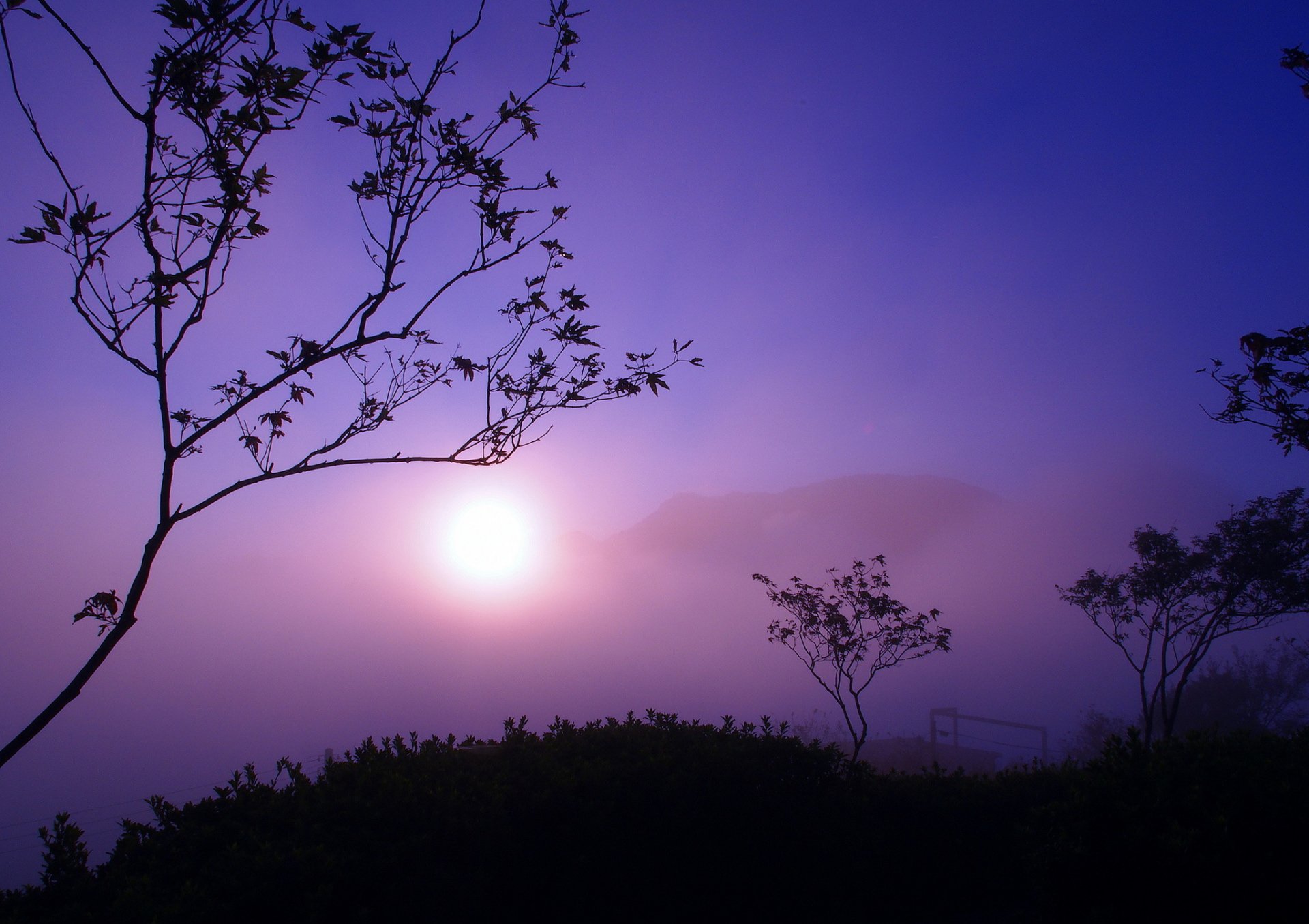 mountain tree sun fog twilight silhouette