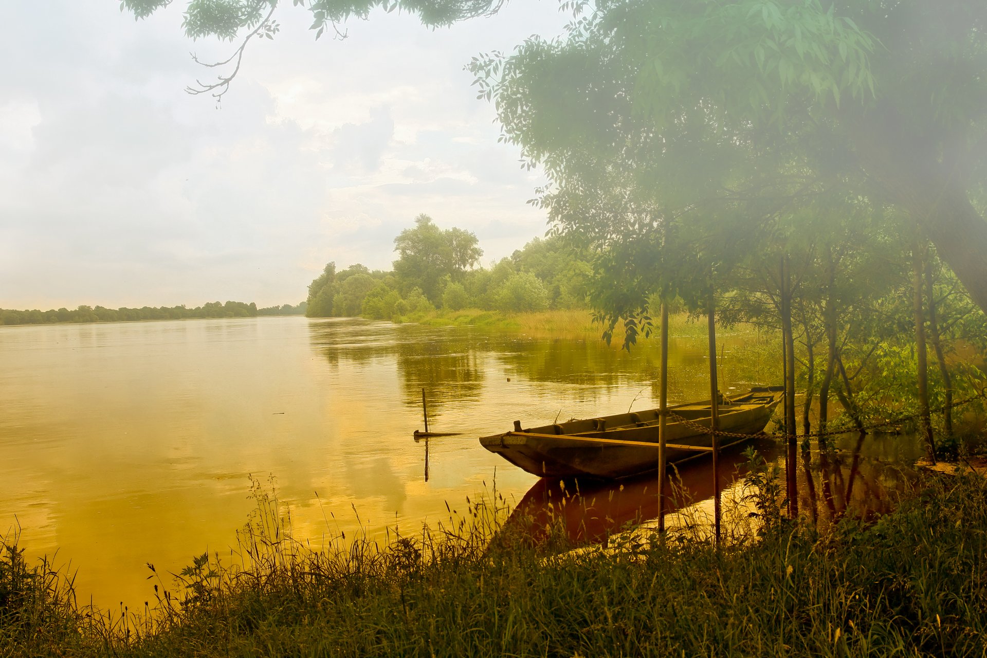 forest lake boat fog