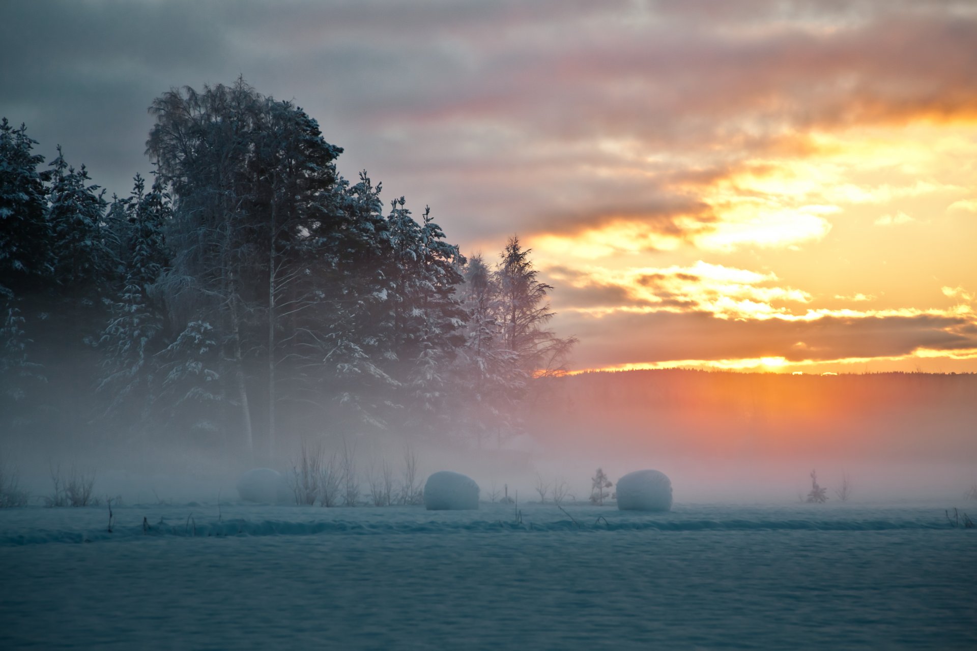 schweden norden winter schnee bäume nebel sonnenuntergang