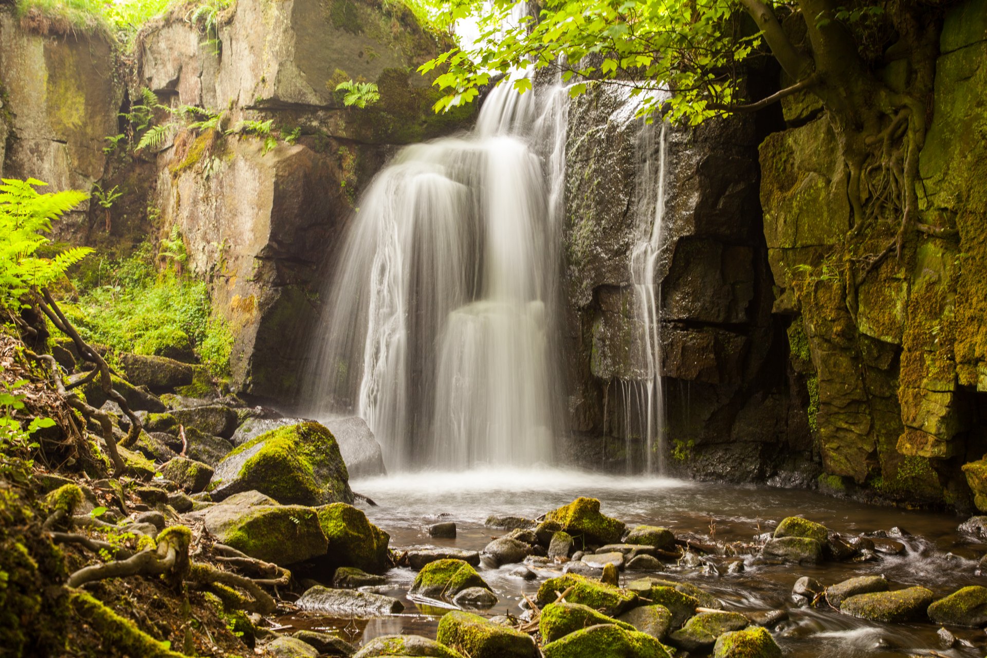 cascata spruzzi rocce rocce alberi rami radici muschio