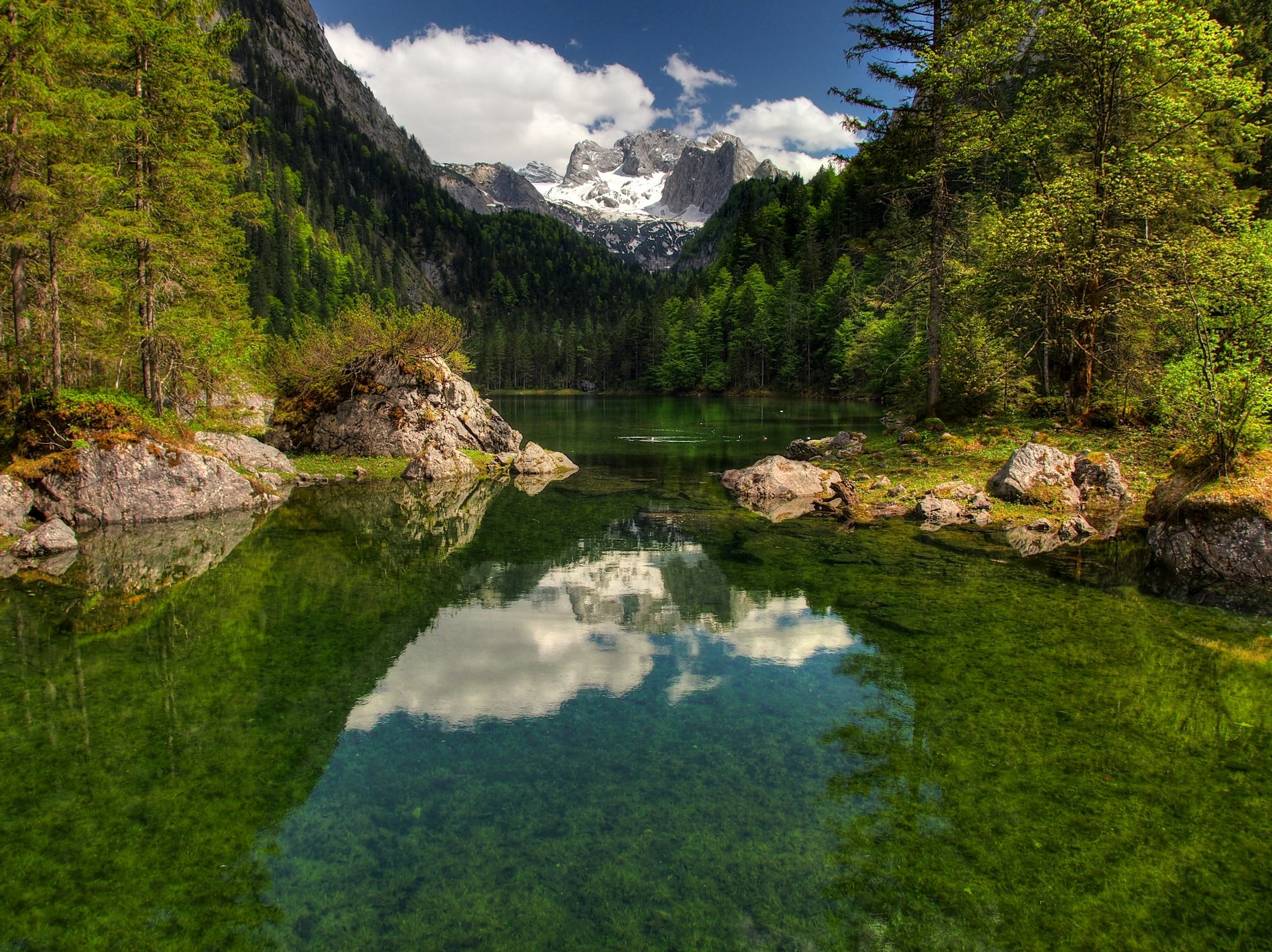 austria dachstein republik österreich repubblica di austrija osztrák köztársaság repubblica di avstrija monte dachstein