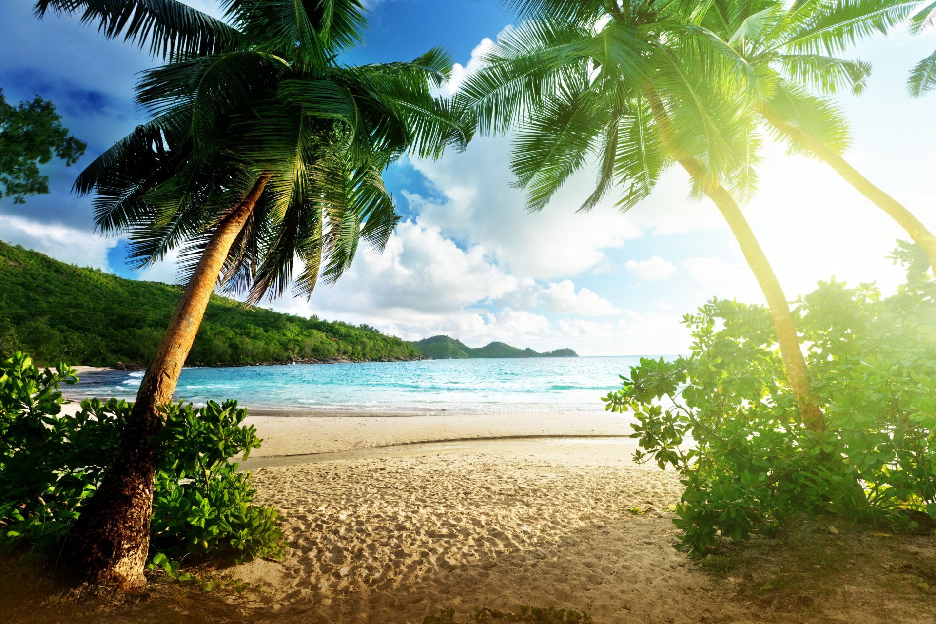 paesaggio isola spiaggia mare palme cielo nuvole