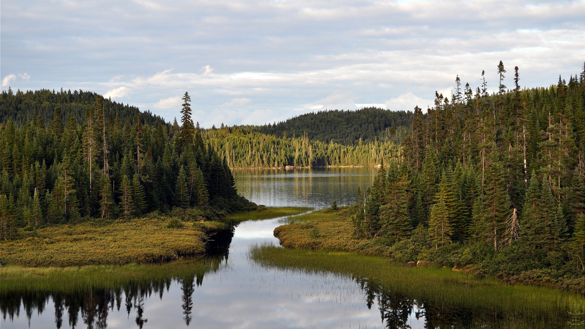 fluss bucht wald himmel natur