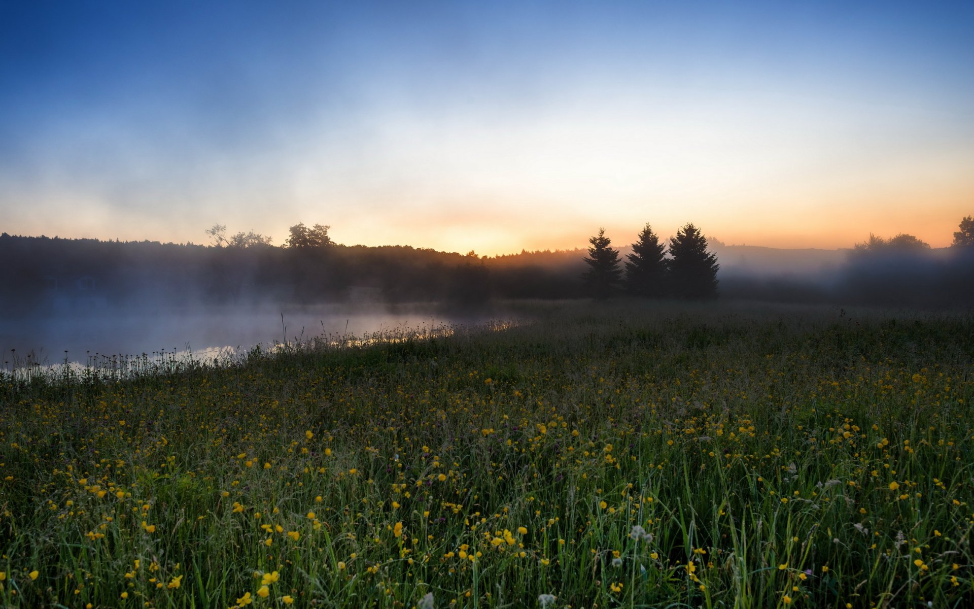 morgen feld fluss nebel landschaft