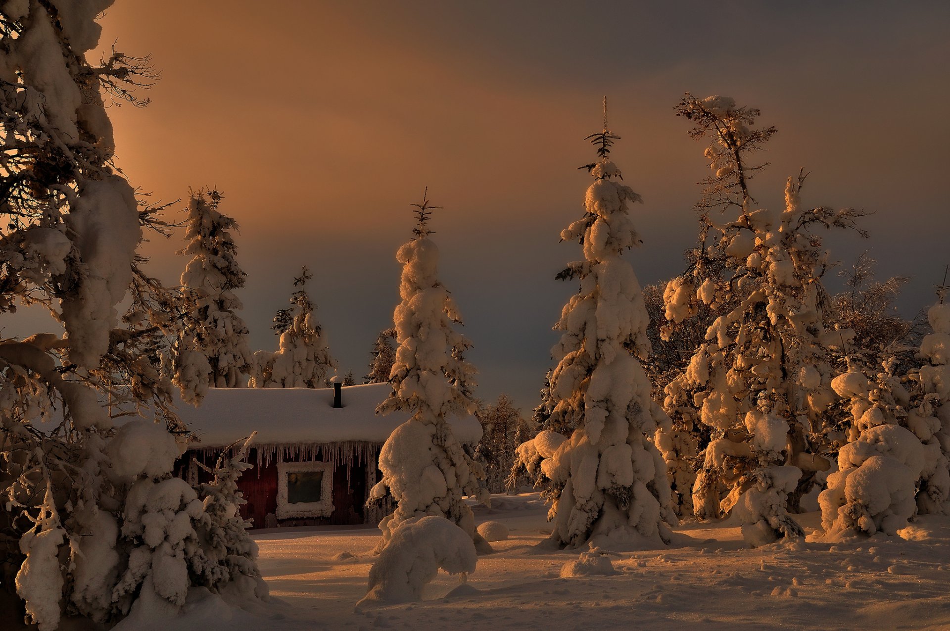 tree christmas tree house snow winter