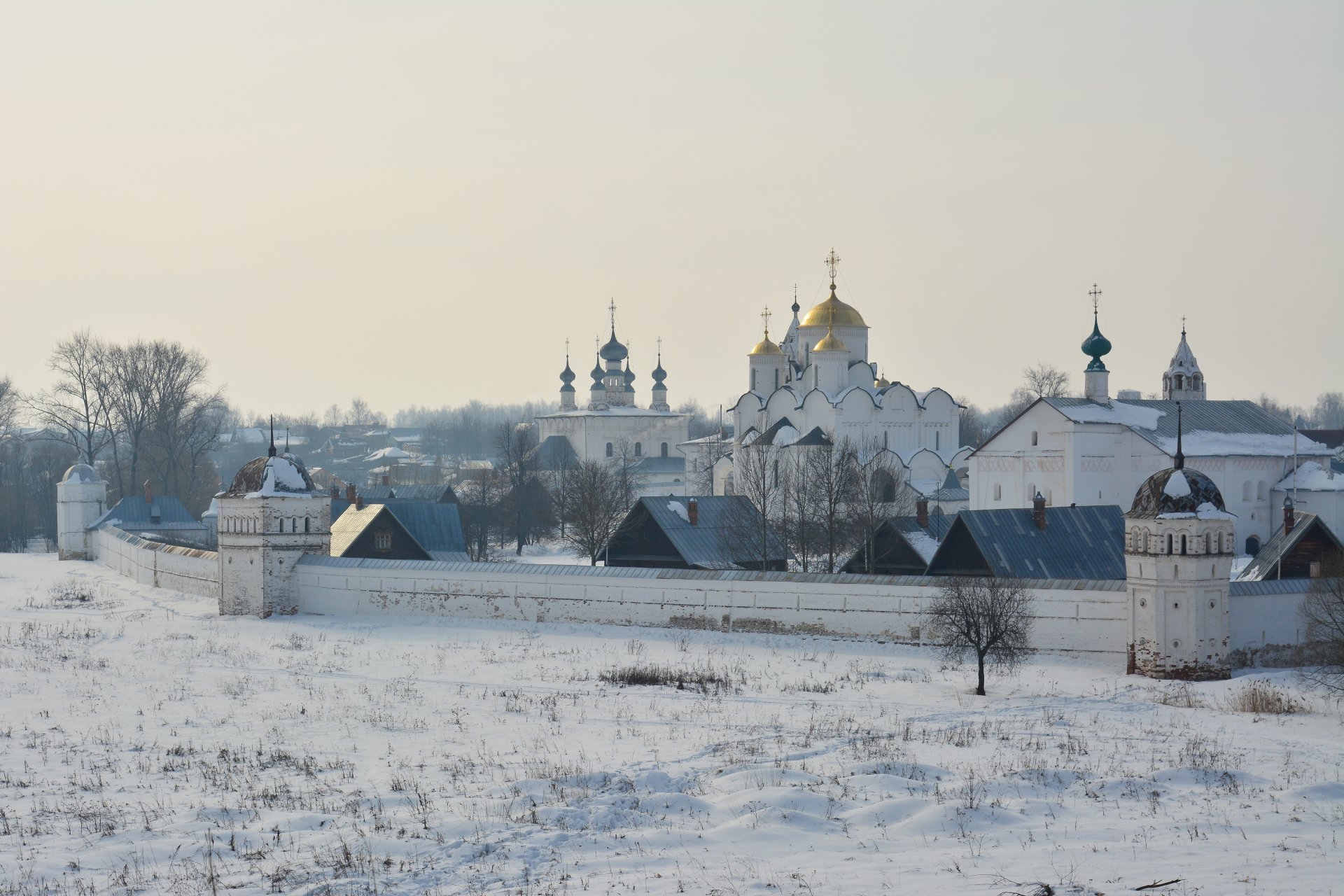 suzdal rano klasztor kościół świątynia domy ściana drzewa mgła zima śnieg krajobraz