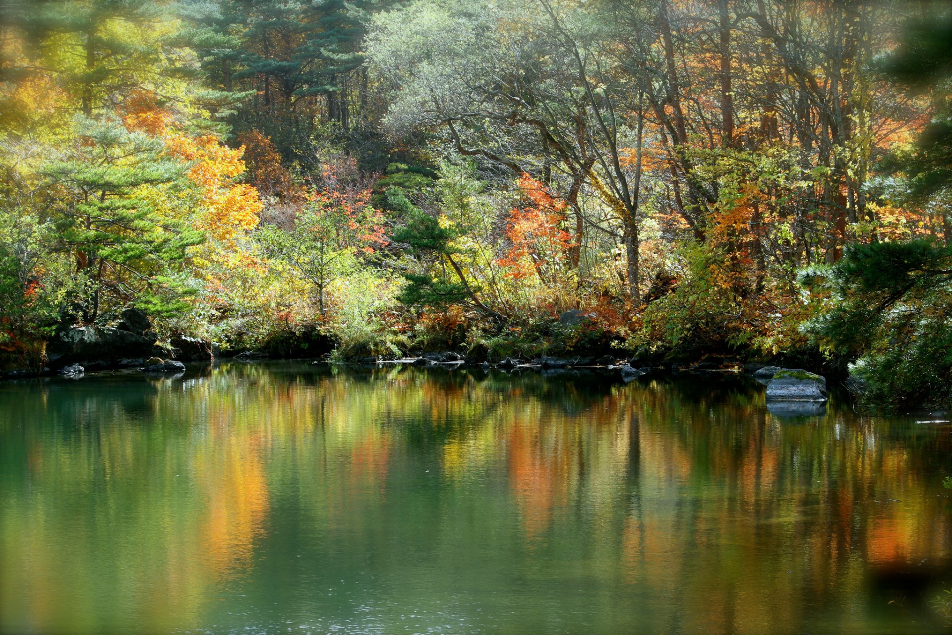 autumn forest lake reflection