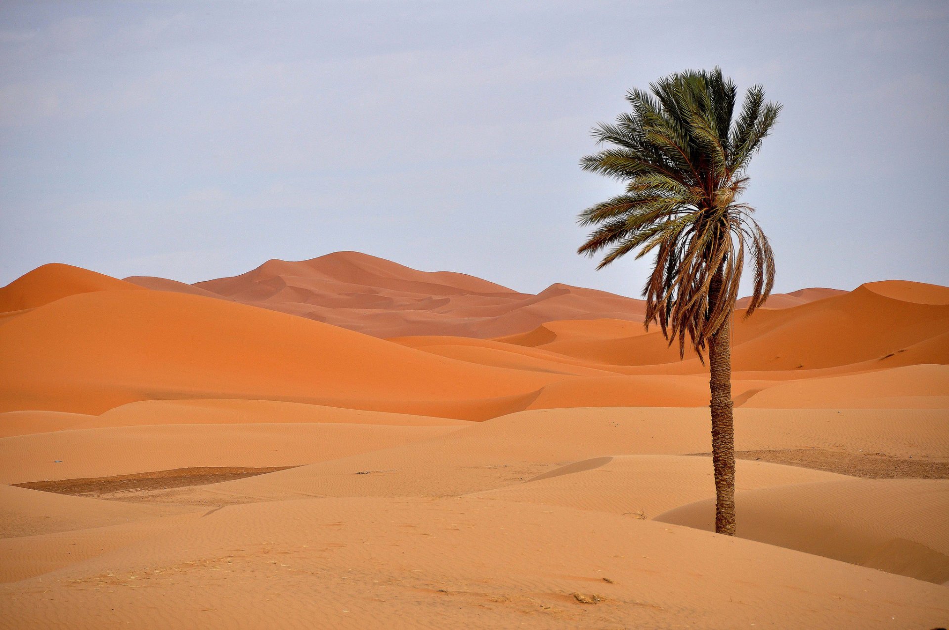 desert sand dunes palma