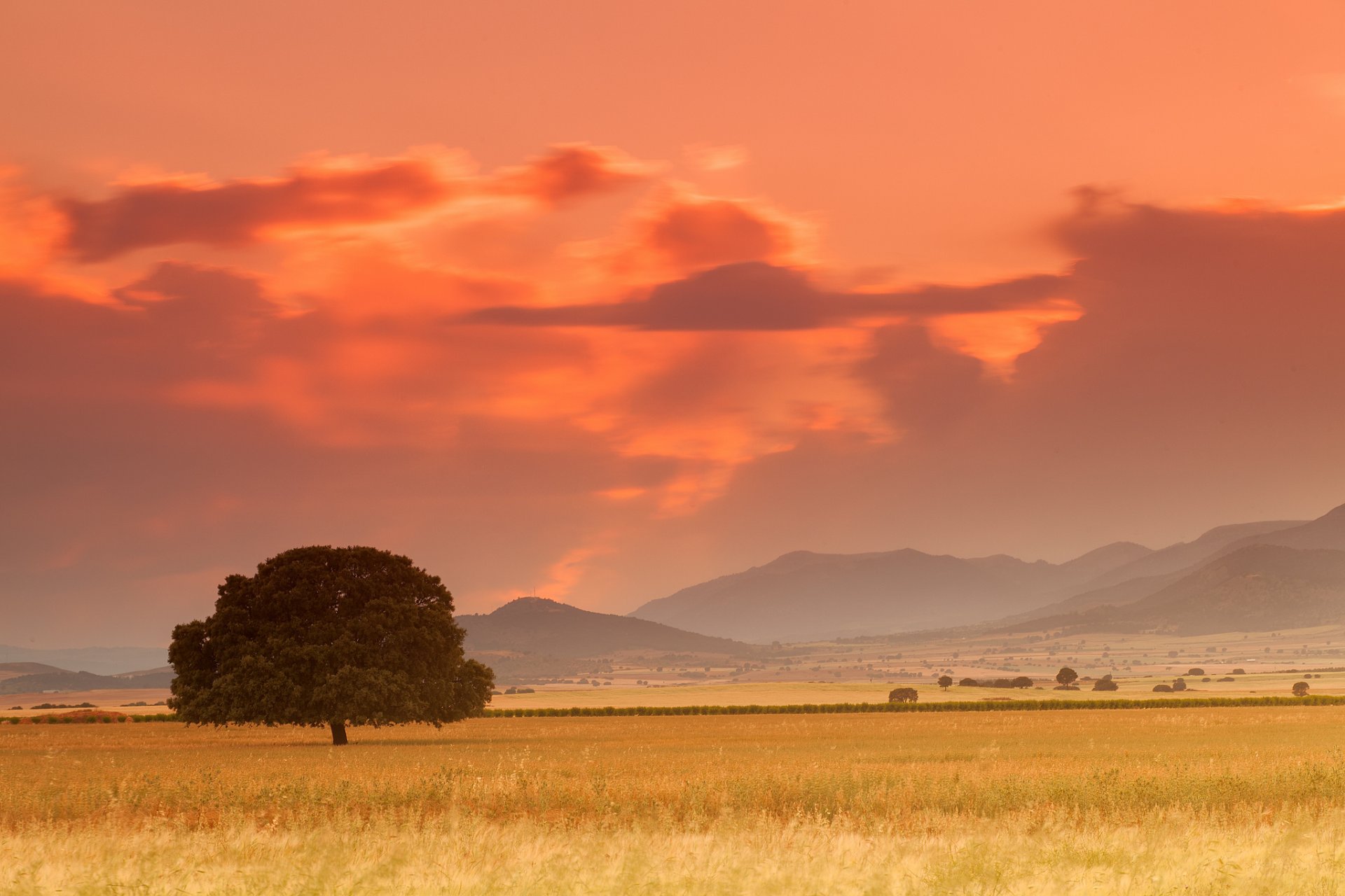 spanien berge feld bäume baum abend sonnenuntergang wolken